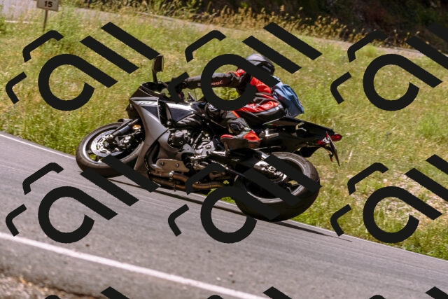 202506291148-_DSC1886_d1_