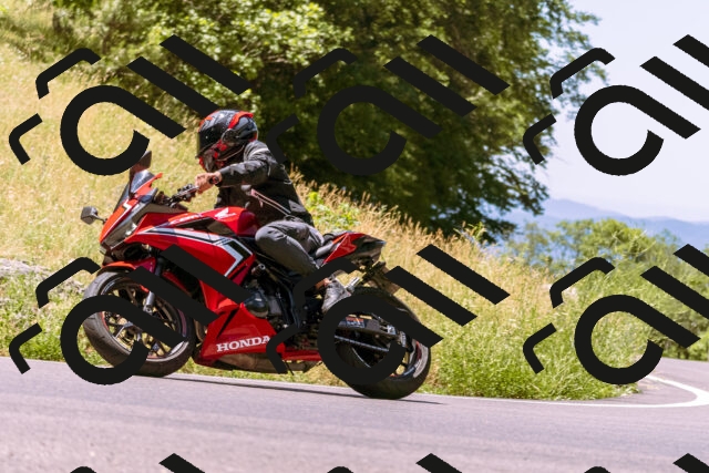 202506291150-_DSC1894_d1_