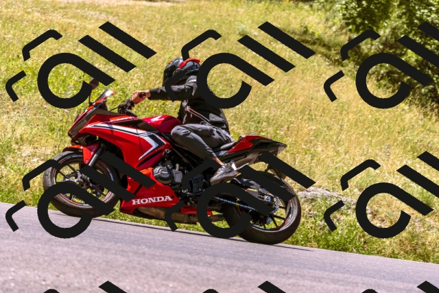 202506291150-_DSC1895_d1_