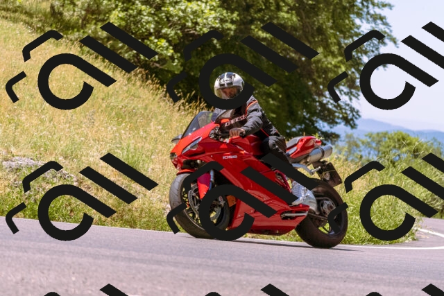 202506291151-_DSC1902_d1_