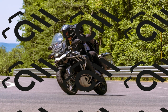 202506291153-_DSC1906_d1_