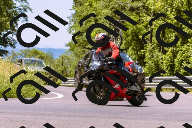 202506291155-_DSC1913_d1_