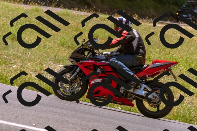 202506291155-_DSC1917_d1_