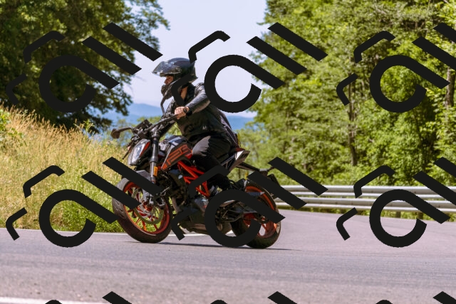 202506291156-_DSC1928_d1_