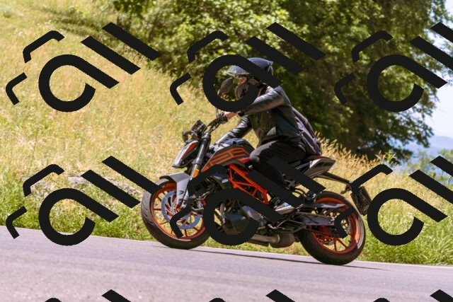 202506291156-_DSC1929_d1_