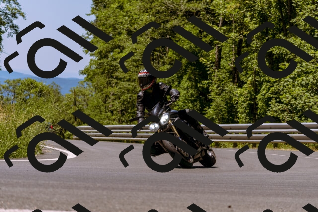 202506291159-_DSC1948_d1_