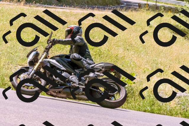 202506291200-_DSC1951_d1_