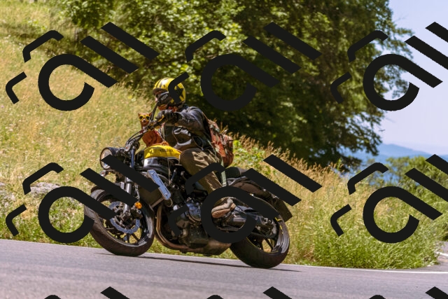 202506291203-_DSC1960_d1_