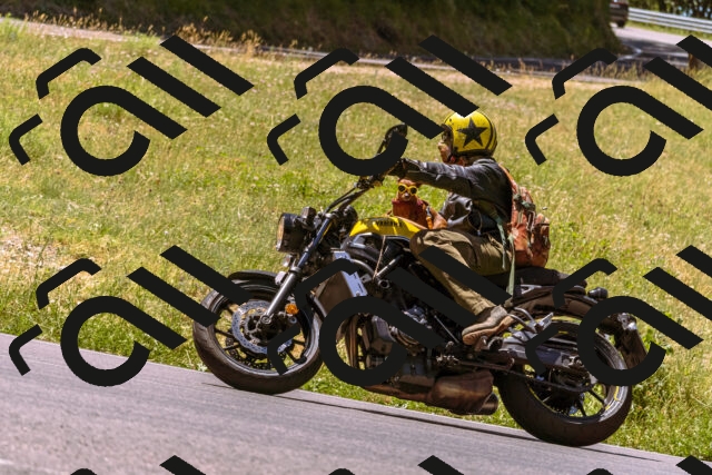 202506291203-_DSC1961_d1_