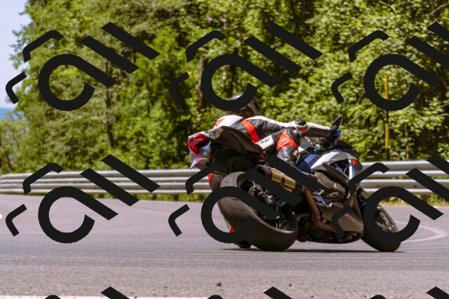 202506291203-_DSC1962_d1_