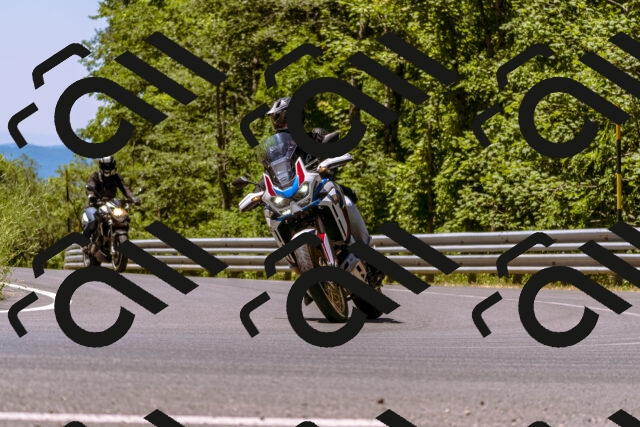 202506291208-_DSC1981_d1_