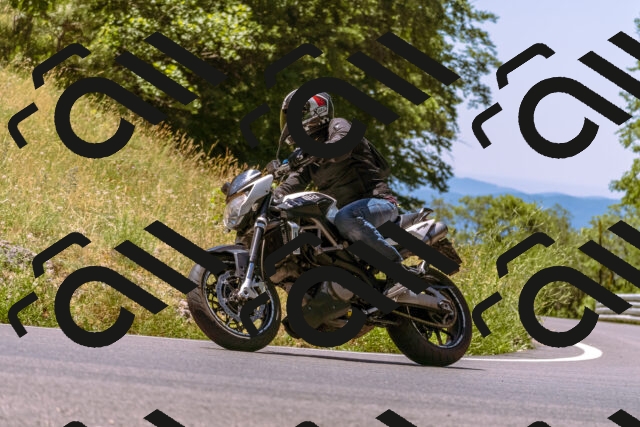 202506291208-_DSC1987_d1_