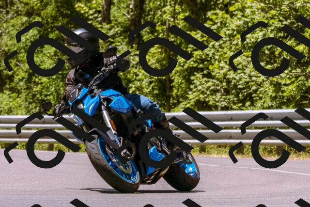 202506291212-_DSC2003_d1_