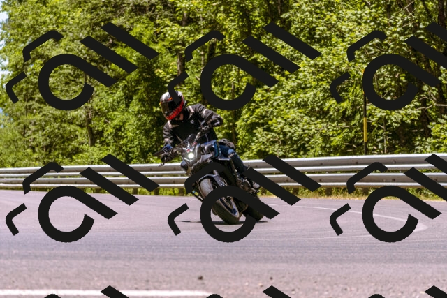 202506291215-_DSC2018_d1_