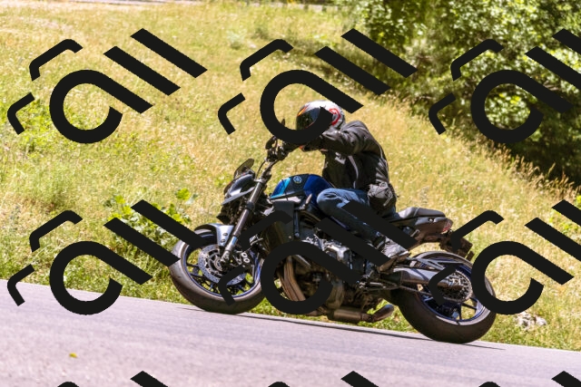 202506291215-_DSC2021_d1_