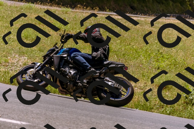 202506291215-_DSC2022_d1_