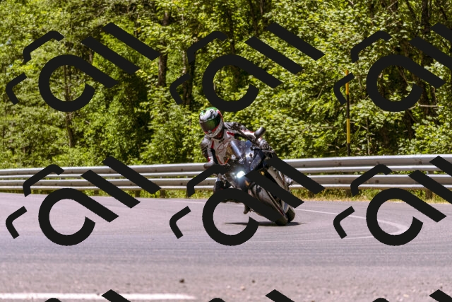 202506291216-_DSC2023_d1_