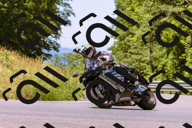 202506291216-_DSC2025_d1_