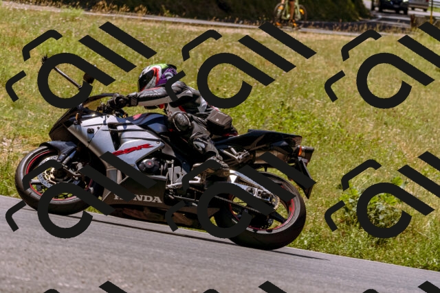 202506291216-_DSC2027_d1_