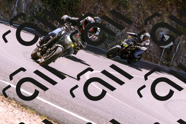 202506291217-_DSC2030_d1_