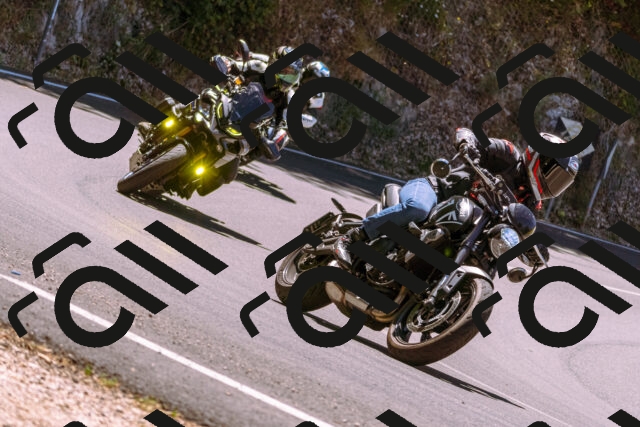 202506291217-_DSC2031_d1_