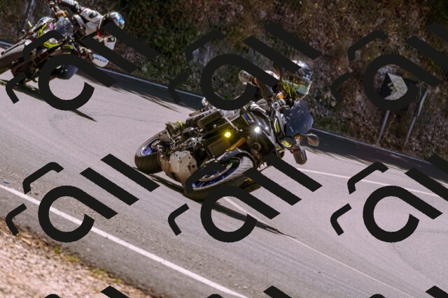 202506291217-_DSC2032_d1_