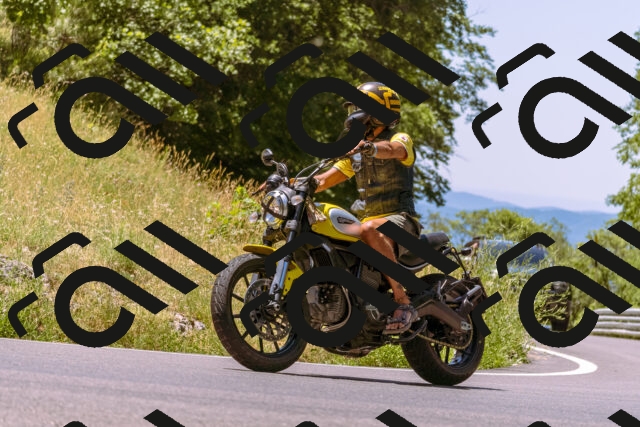 202506291217-_DSC2036_d1_