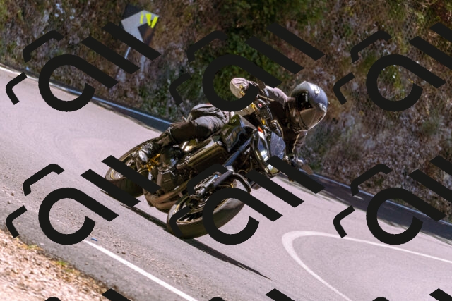 202506291220-_DSC2042_d1_