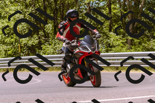 202506291220-_DSC2043_d1_