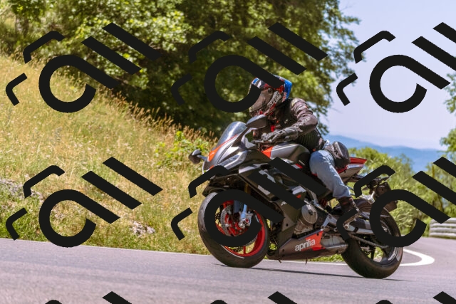 202506291220-_DSC2053_d1_