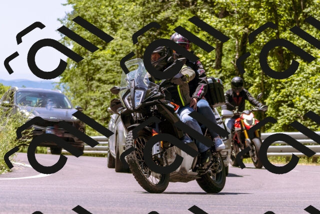 202506291221-_DSC2056_d1_