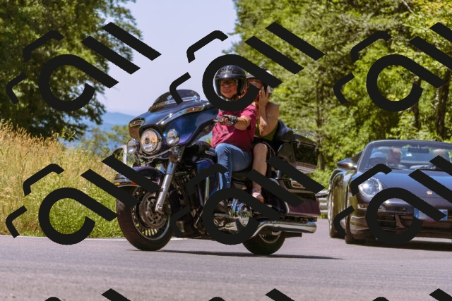 202506291223-_DSC2075_d1_