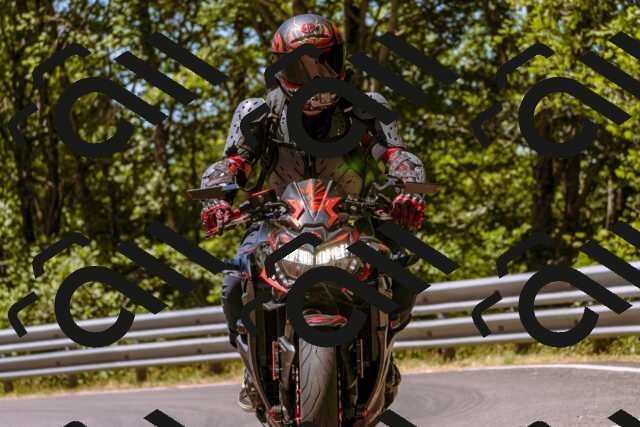 202506291224-_DSC2083_d1_