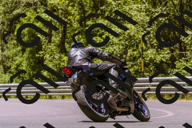 202506291227-_DSC2091_d1_