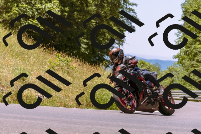 202506291228-_DSC2096_d1_