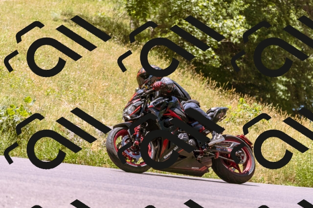 202506291228-_DSC2097_d1_