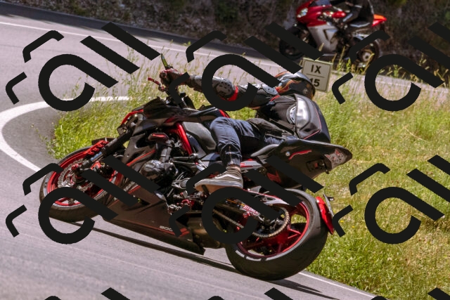 202506291228-_DSC2100_d1_