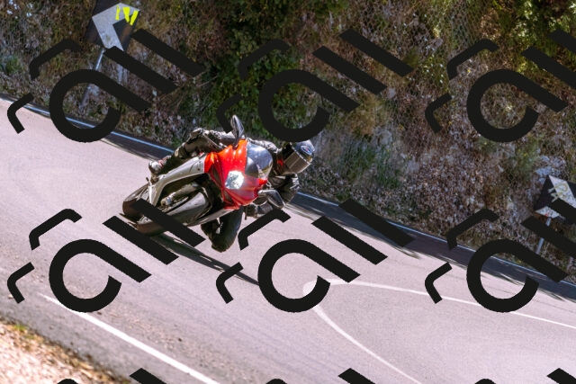 202506291228-_DSC2101_d1_