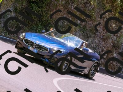 202506291229-_DSC2113_d1_