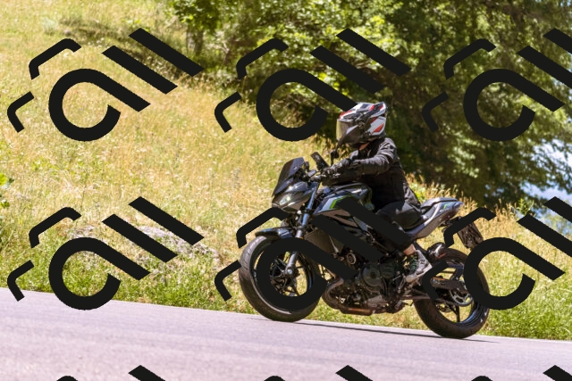 202506291229-_DSC2119_d1_