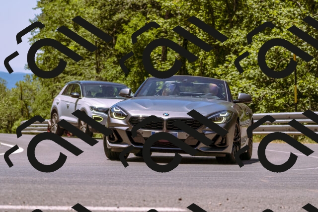 202506291230-_DSC2121_d1_