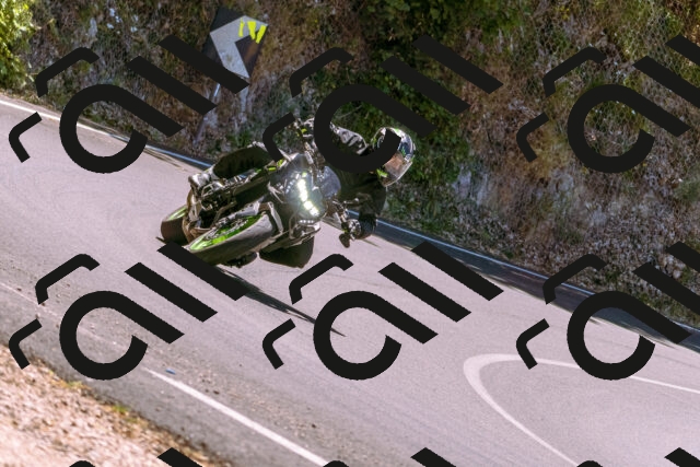 202506291231-_DSC2123_d1_