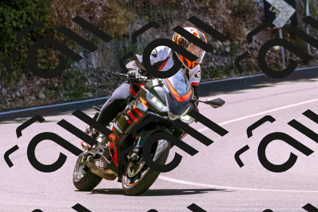 202506291231-_DSC2127_d1_