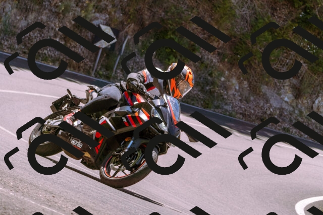 202506291231-_DSC2128_d1_