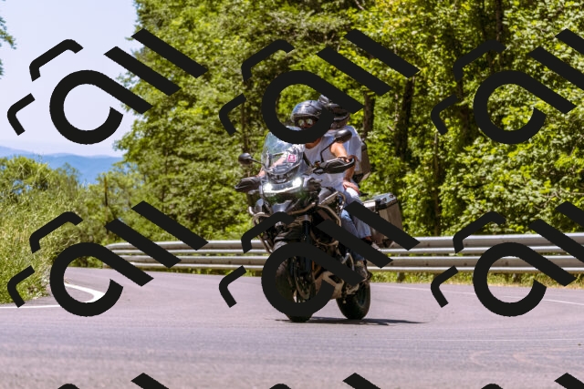 202506291233-_DSC2141_d1_