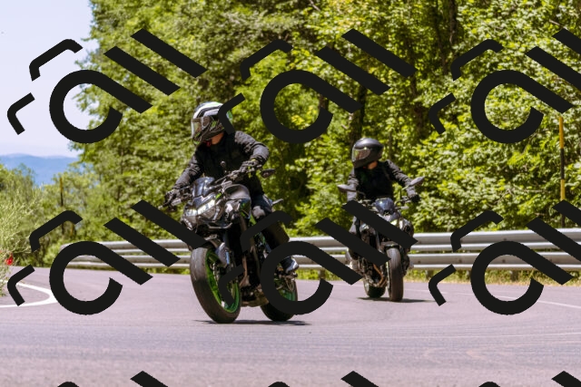 202506291233-_DSC2150_d1_