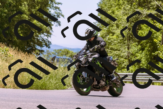 202506291233-_DSC2151_d1_