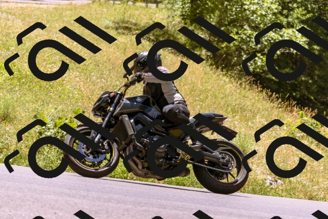 202506291237-_DSC2166_d1_