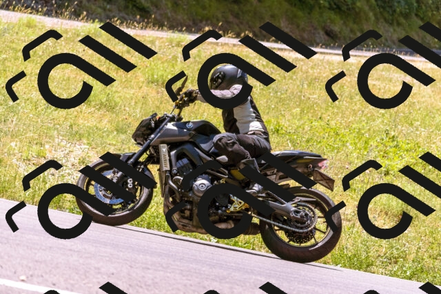 202506291237-_DSC2167_d1_