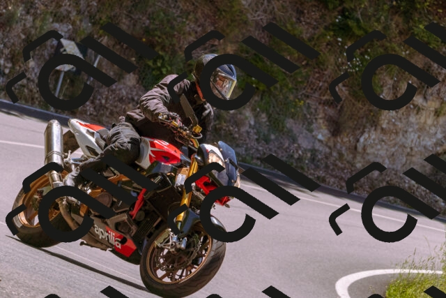 202506291237-_DSC2175_d1_